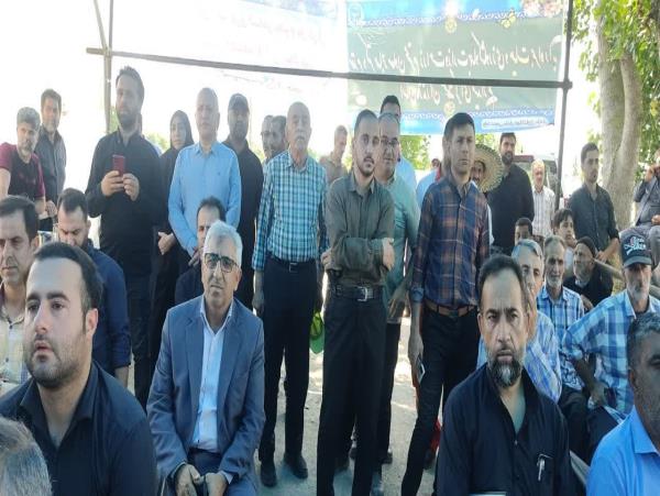 آیین اولین برداشت مکانیزه برنج کشور در بابل+تصاویر